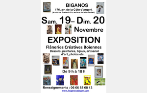 Exposition artistique  Flâneries créatives Boïennes 